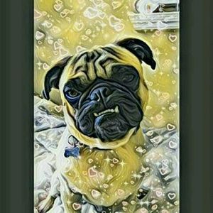 Meet your Posher, Hailey